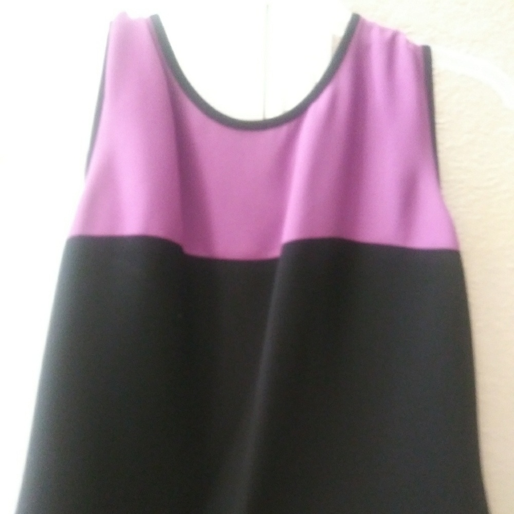 Dry clean dress blouse